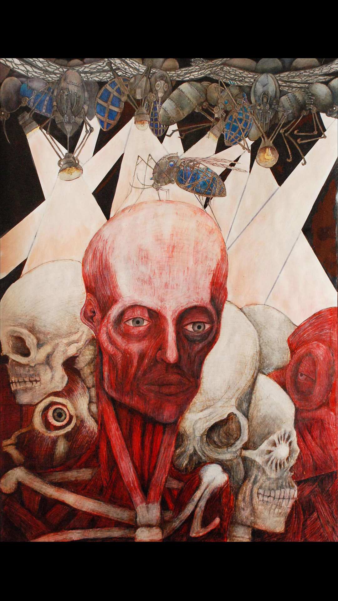 Image 21